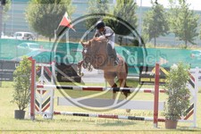 ref. photo 3680047