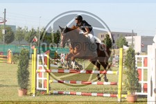 ref. photo 3680050