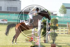 ref. photo 3680062