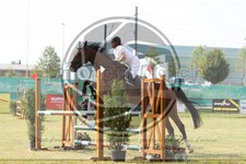ref. photo 3680067