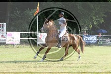 ref. photo 3680078
