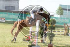 ref. photo 3680081