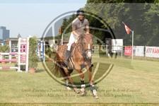 ref. photo 3680083