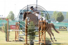 ref. photo 3680087