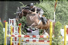 ref. photo 3680103