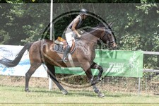ref. photo 3680107