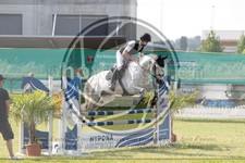 ref. photo 3680116