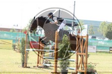 ref. photo 3680122