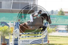 ref. photo 3680123