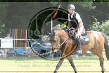 ref. photo 3680126