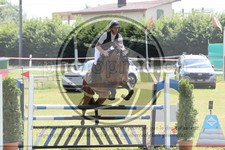 ref. photo 3680130