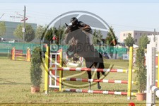 ref. photo 3680134