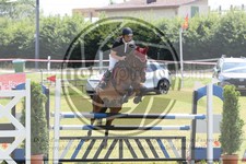 ref. photo 3680146