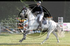 ref. photo 3680154