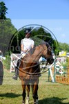 ref. photo 3680190