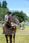 ref. photo 3680279
