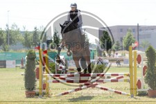 ref. photo 3682809