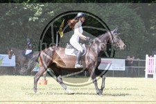 ref. photo 3682849