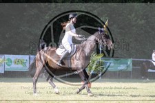 ref. photo 3682855