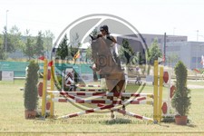 ref. photo 3682889