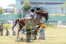 ref. photo 3682890