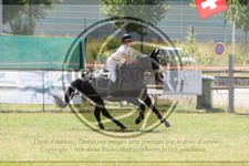 ref. photo 3682911