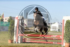 ref. photo 3682932