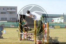 ref. photo 3682937