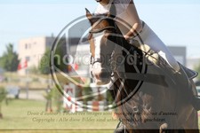 ref. photo 3682941