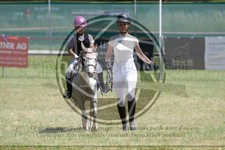 ref. photo 3683016