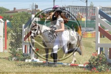 ref. photo 3683018