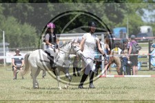 ref. photo 3683022