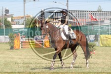 ref. photo 3683034
