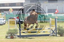 ref. photo 3683050