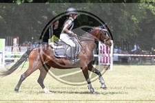 ref. photo 3683060