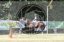 ref. photo 3683067
