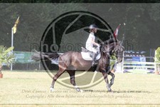 ref. photo 3683098