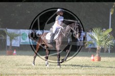 ref. photo 3683105
