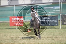 ref. photo 3683107