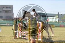 ref. photo 3683117