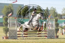 ref. photo 3683118