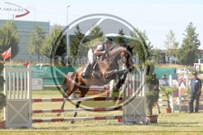 ref. photo 3683128