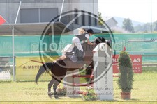 ref. photo 3683132