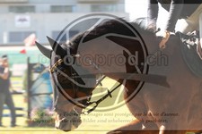 ref. photo 3683140