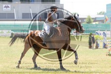 ref. photo 3683155