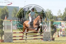 ref. photo 3683164