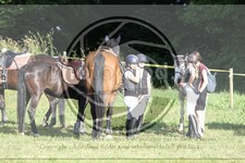ref. photo 3683200