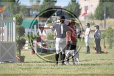 ref. photo 3683207