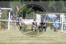 ref. photo 3683217
