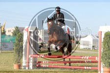 ref. photo 3683247